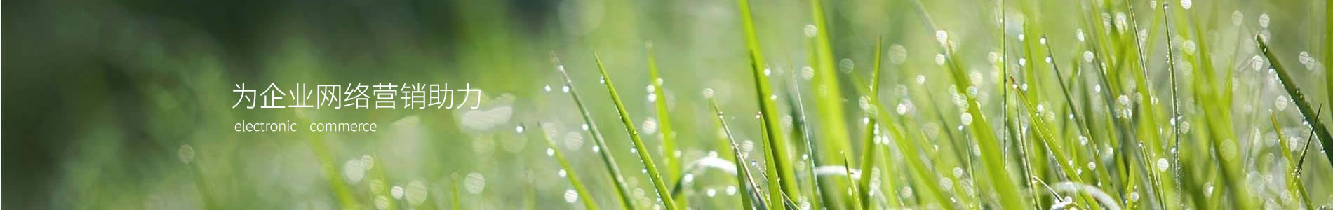 ޷Ĳ()Ƽ޹˾